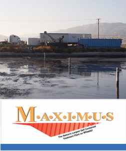 Maximus Online Flyer | P&H Senesac Inc.