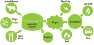 The byproducts of anaerobic digestion